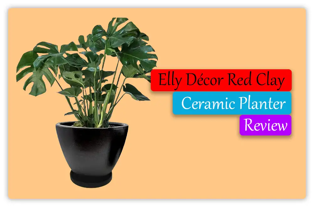 Elly Décor Red Clay Ceramic Planter