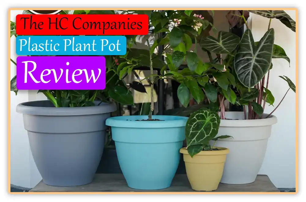 The HC Companies Plastic Plant Pot