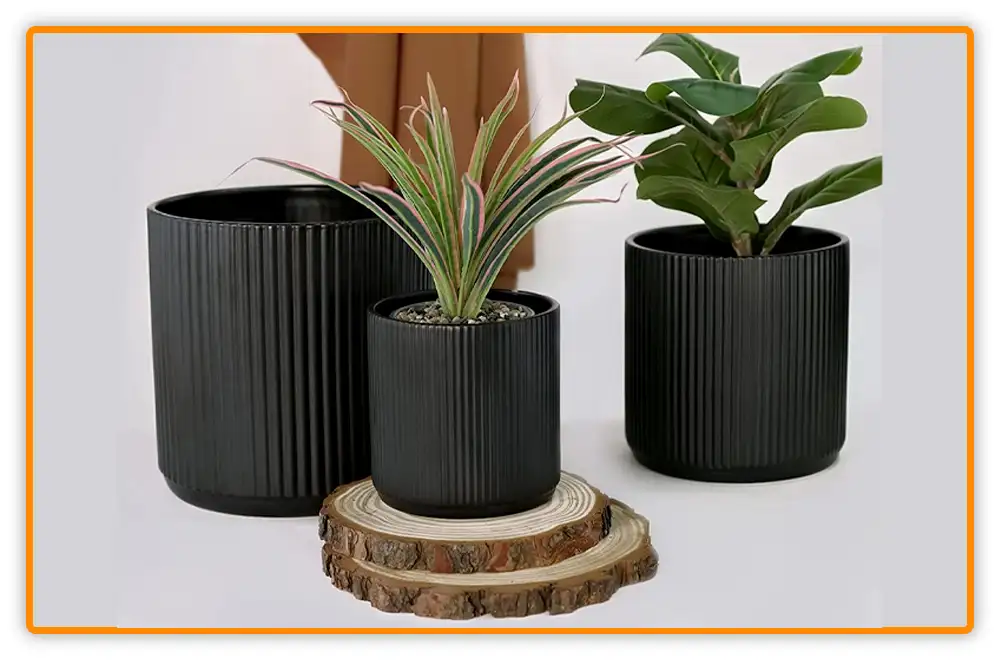 Ceramic Pots for Aloe Vera Plants