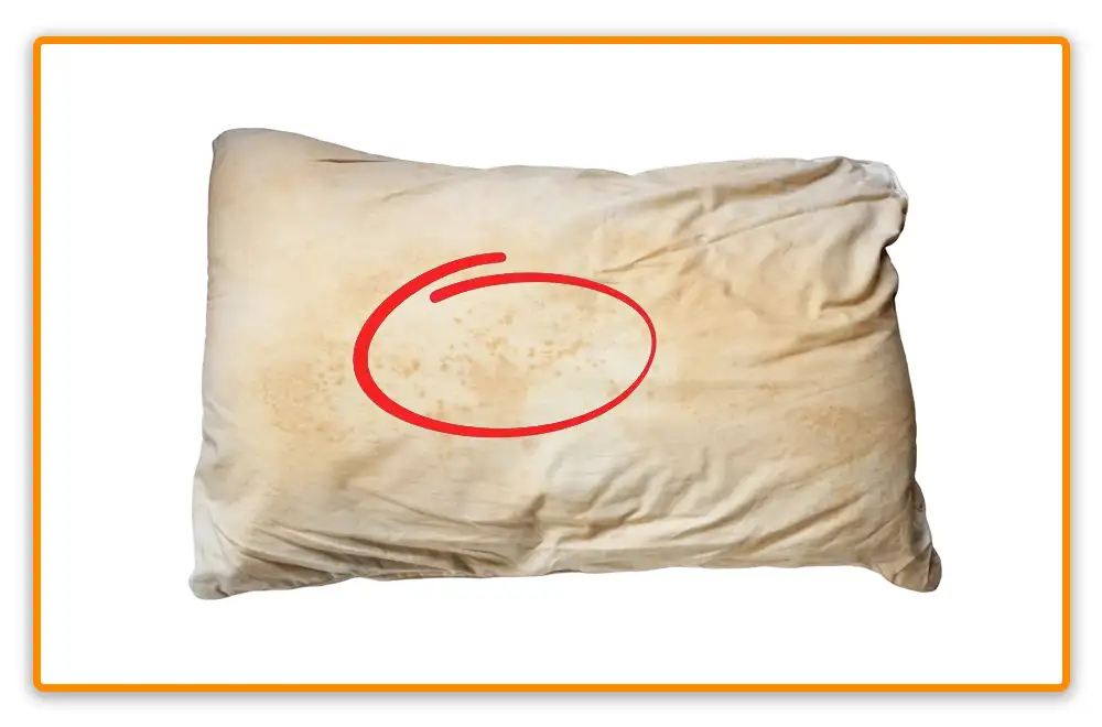Bed Bug Poop on Pillows