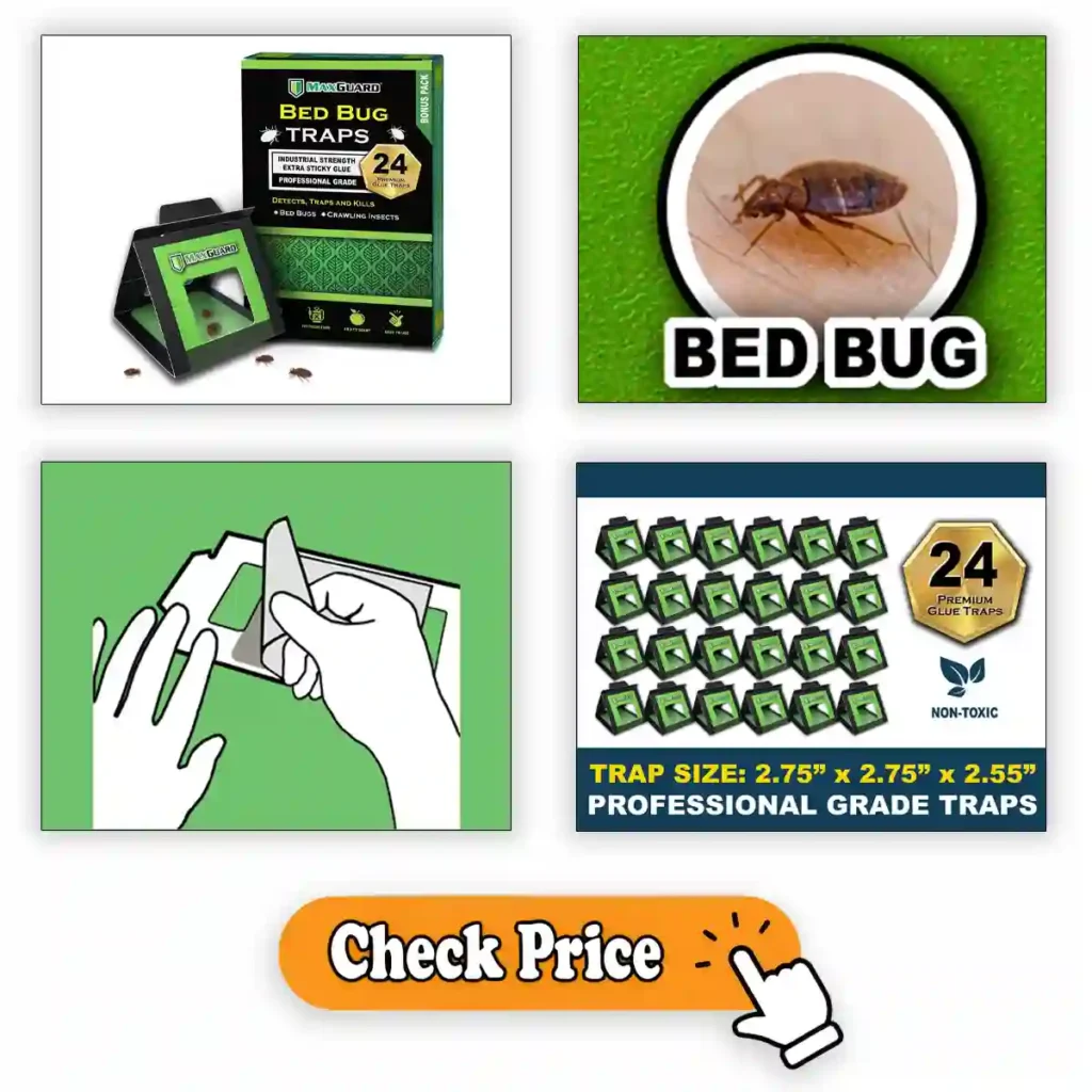 Bed Bug Traps