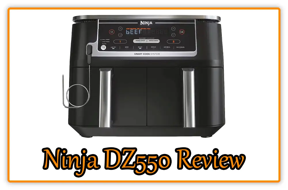 Ninja DZ550 Review