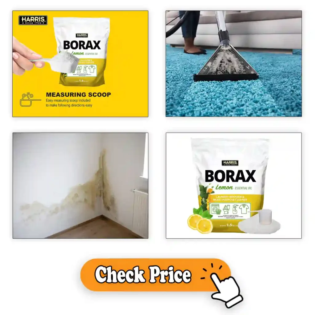 Borax for Household Cleaning