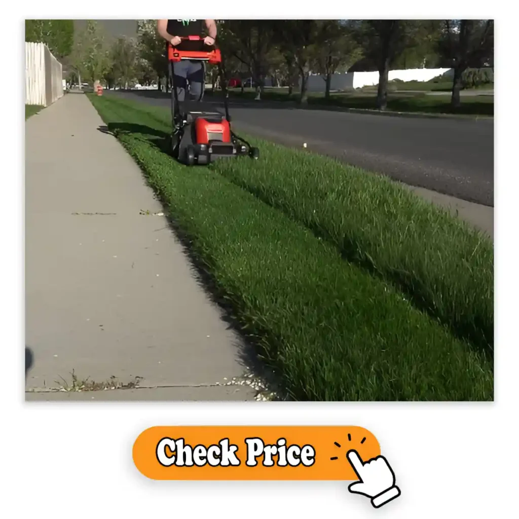 Cut Quality of Milwaukee Lawn Mower