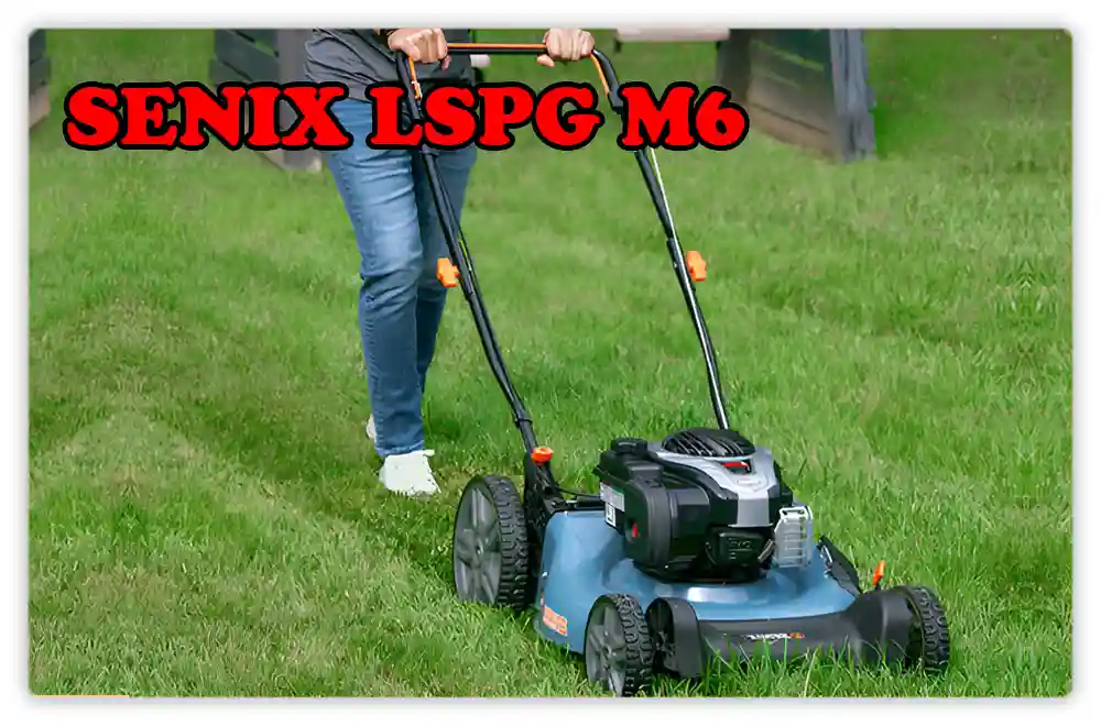 SENIX LSPG M6 Review