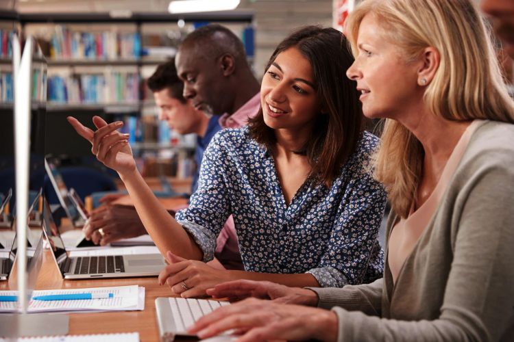 How to Choose the Right Dutch Course for Your Needs