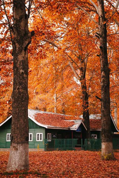 Albany NY Roofing Company Highlights Fall as Ideal for Roofing Projects