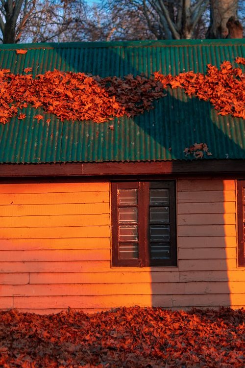 Albany NY Roofing Company Highlights Fall as Ideal for Roofing Projects2