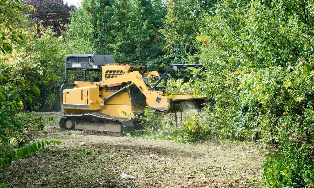 Transforming Spaces: A Look into Graham Land Clearing Services