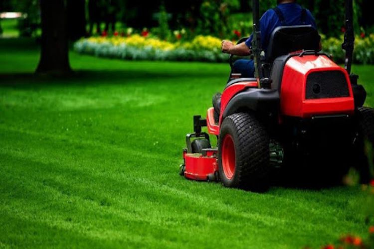 Mr. Lawn Services – Professional Lawn Sod Turf Irrigation and Hardscaping and More Mr. Lawn Services – Professional Lawn Sod Turf Irrigation and Hardscaping and More