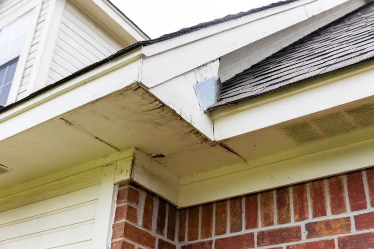 Warning Signs Your Home Needs Soffit and Fascia Repair Immediately Warning Signs Your Home Needs Soffit and Fascia Repair Immediately