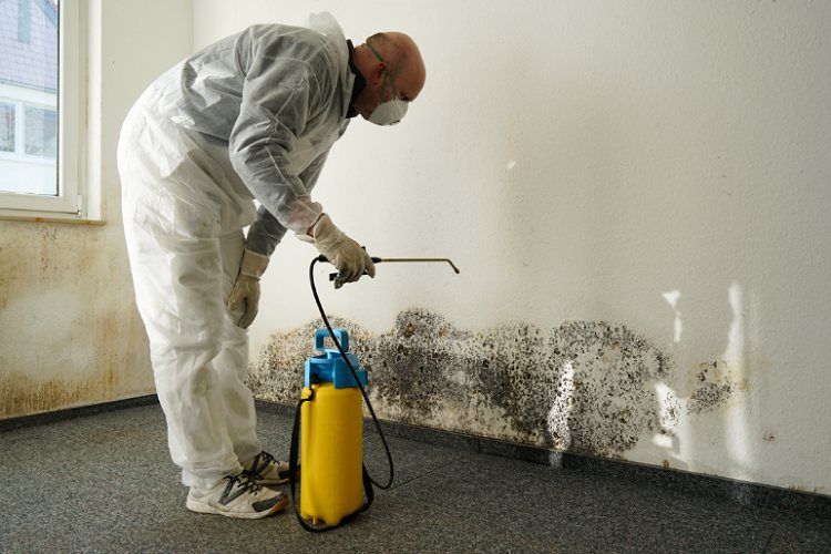 Water Fire or Mold Damage Heres What to Expect During the Property Restoration Process