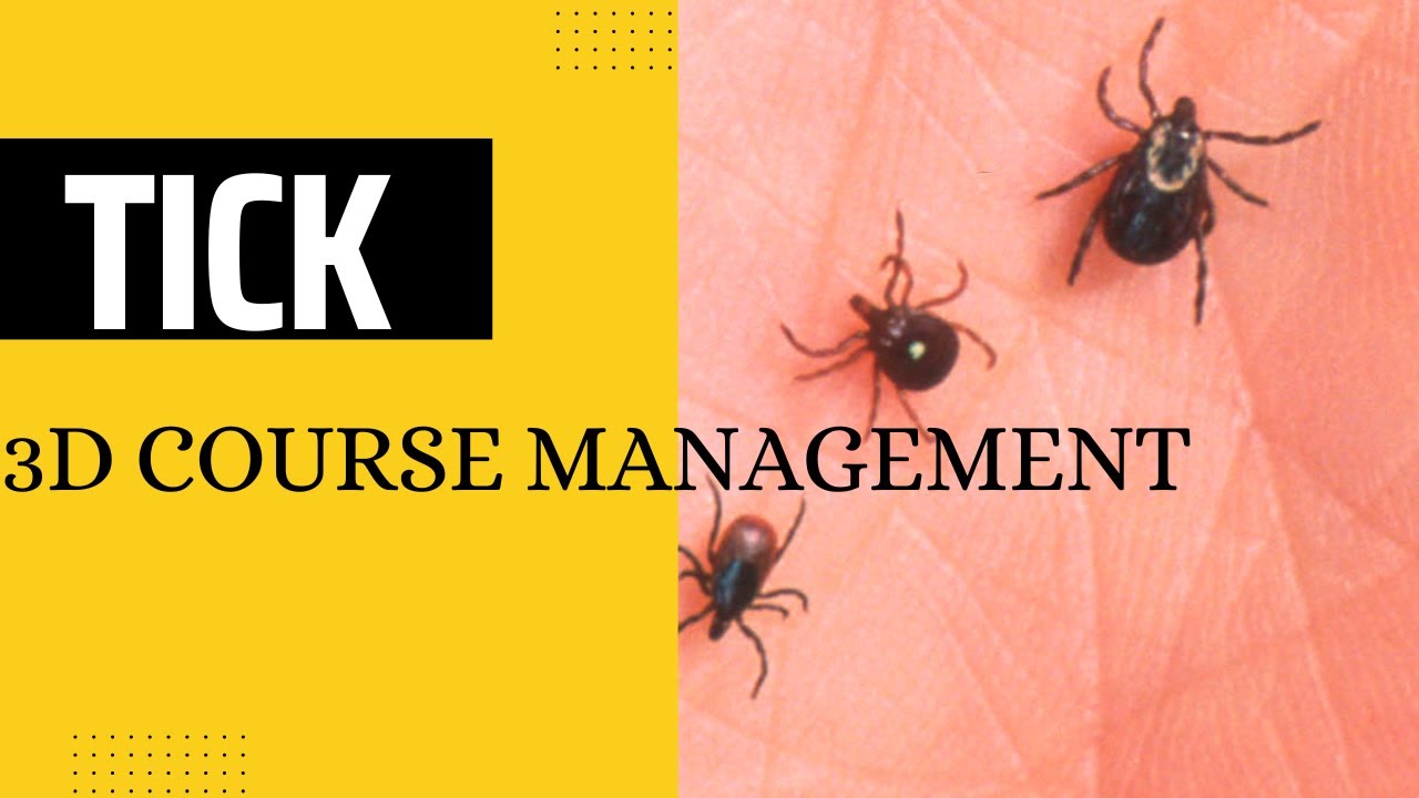 Understanding TickZoo What You Need to Know